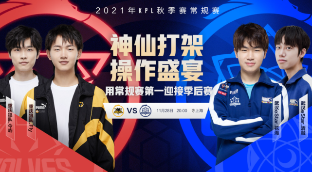 灰熊自己的 灰熊自己的