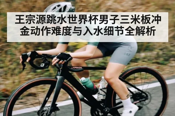 王宗源跳水世界杯男子三米板冲金动作难度与入水细节全解析